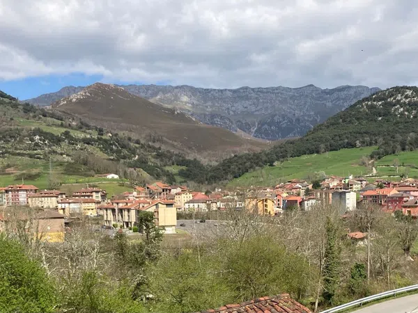 Piso en Cabrales - Foto 17