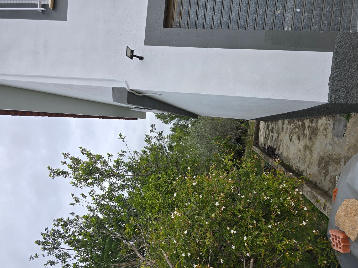 Casa independiente en Petunias, 19 - Foto 15