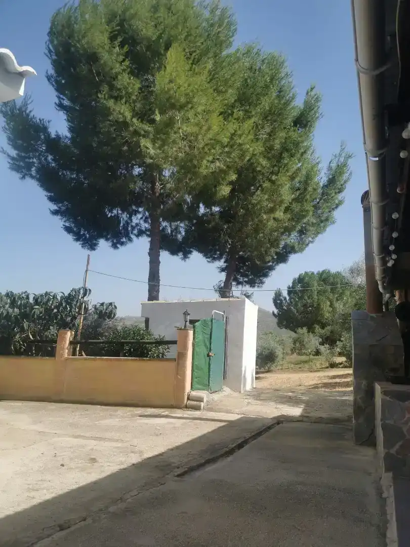 Finca rústica en  Plaza Llanete de Arriba 2 - Foto 10