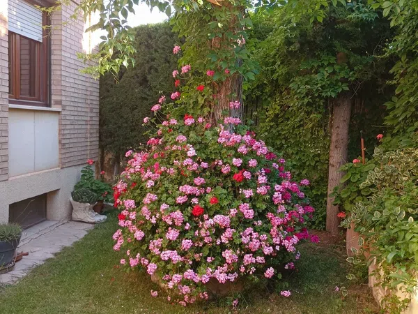 Chalet adosado en Avenida de la Molineta, 15 - Foto 5