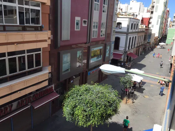 Estudio en Calle Secretario Artiles, 50, Santa Catalina - Canteras - Foto 8