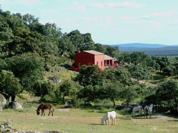 Finca rústica en Carretera Albalá del Caudillo s/n - Foto 1