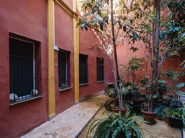 Estudio en Calle San Isidoro, 3, Santa Cruz - Alfalfa - Foto 9