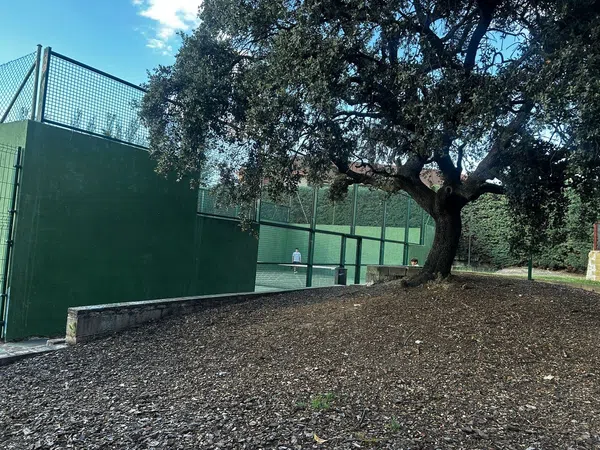 Chalet adosado en Avenida de Sóller, 11, El Pinar- Punta Galea - Foto 37