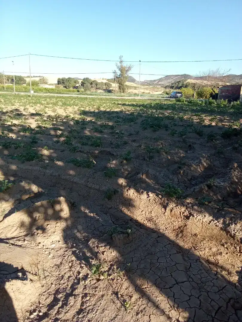 Finca rústica en  Carril de los Murcia 5 - Foto 12