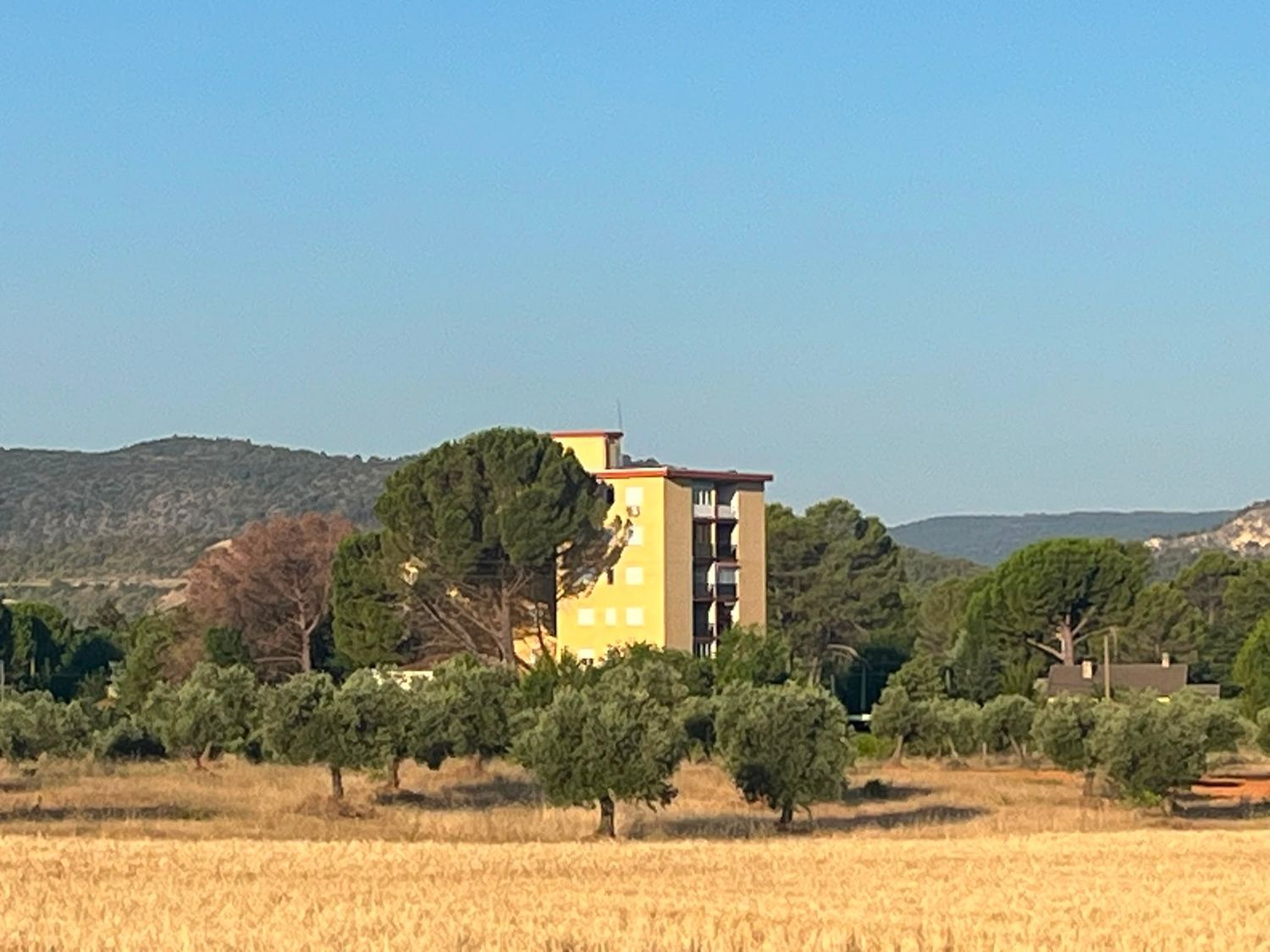 Piso en Paseo de los Olivos, 243 - Foto 10
