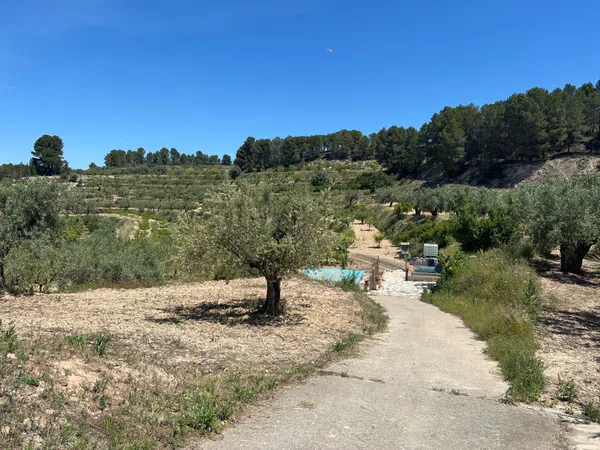 Masía en Masía en Camino Alqueries de Benifloret, 320 - Foto 10