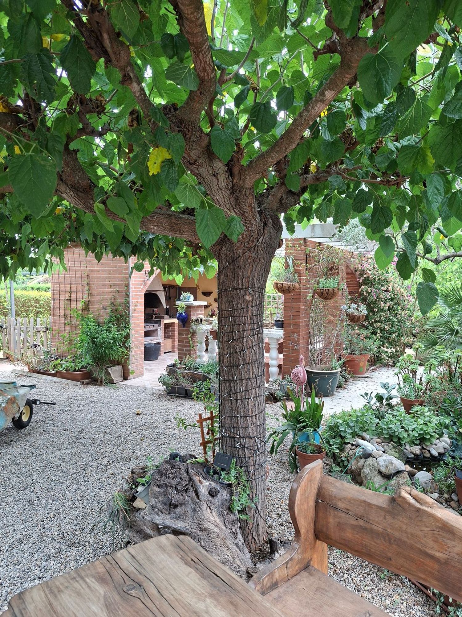 Casa o chalet independiente en Roquetes - Foto 10