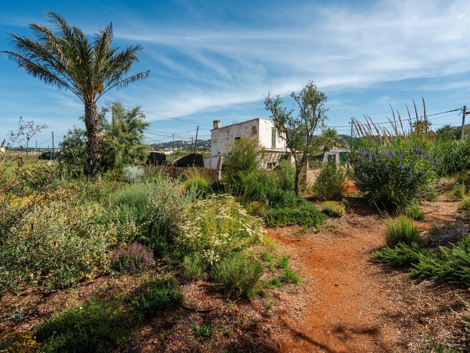 Casa rural en Camino ses Feixes, 46, Marina Botafoc - Talamanca, Marina Botafoc - Talamanca - Foto 35