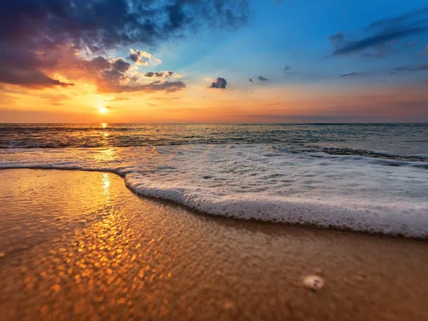 Chalet adosado en calle Hernán Cortés, 5 - Foto 9