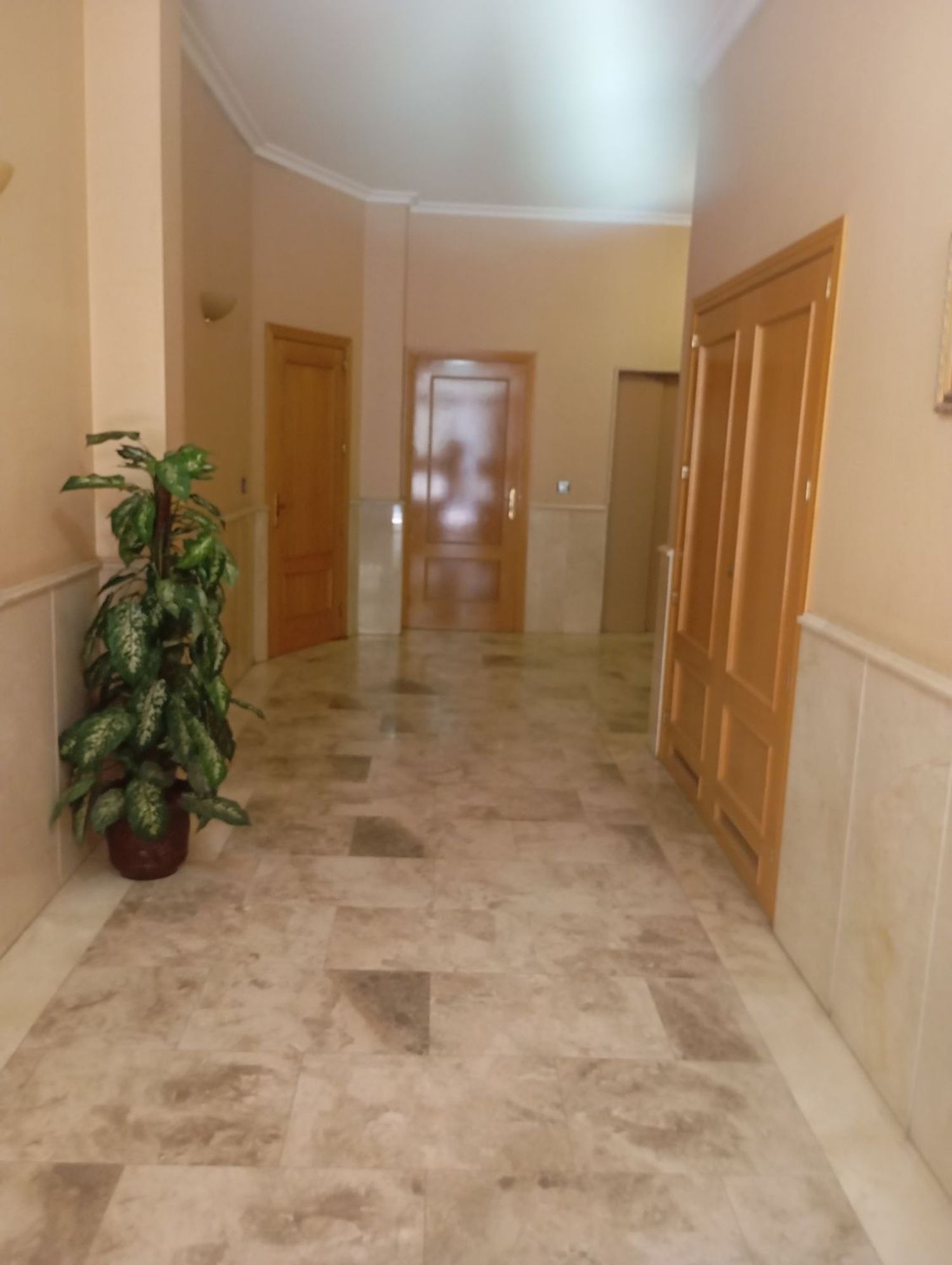 Piso en Paseo de la Concordia, 5 - Foto 7