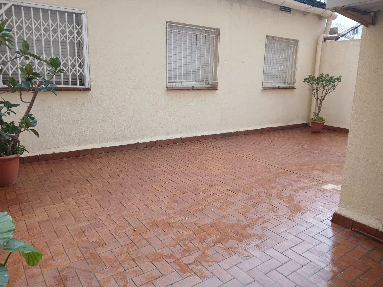 Piso en Sicilia 240, 240 - Foto 2