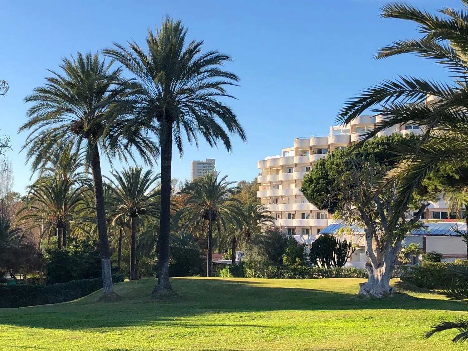 Estudio en cuesta Correa, 1 - Foto 23