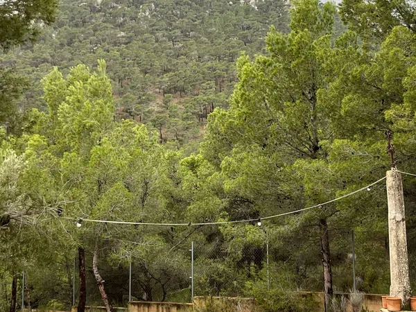 Finca rústica en Urbanización Cruz del Maigmó, 21 - Foto 3