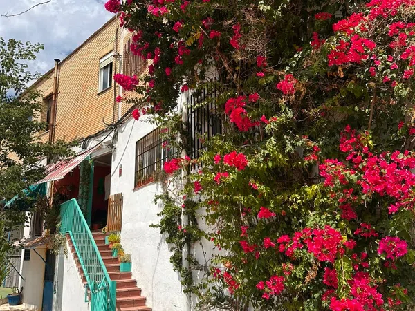 Piso en Avenida Rosal, 11, Trassierra - Las Jaras - Foto 14