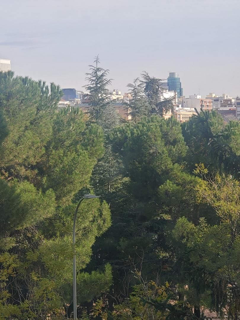 Piso en  Calle de Santander 5 - Foto 11