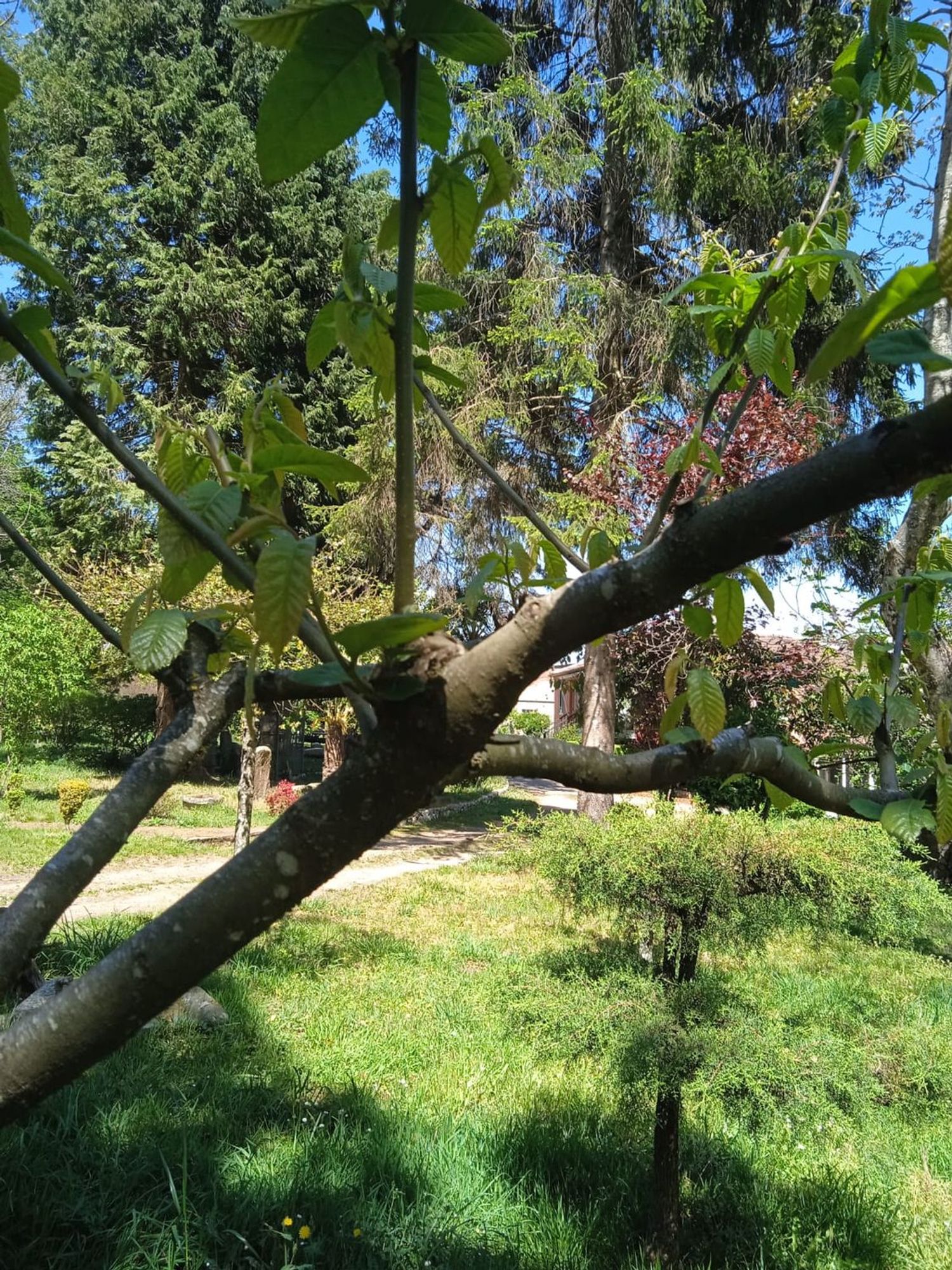 Piso en Valado, 2 - Foto 33