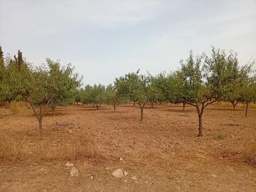 Finca rústica en - Foto 4