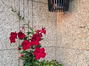 Apartamento en  PO-550 34 - Foto 7