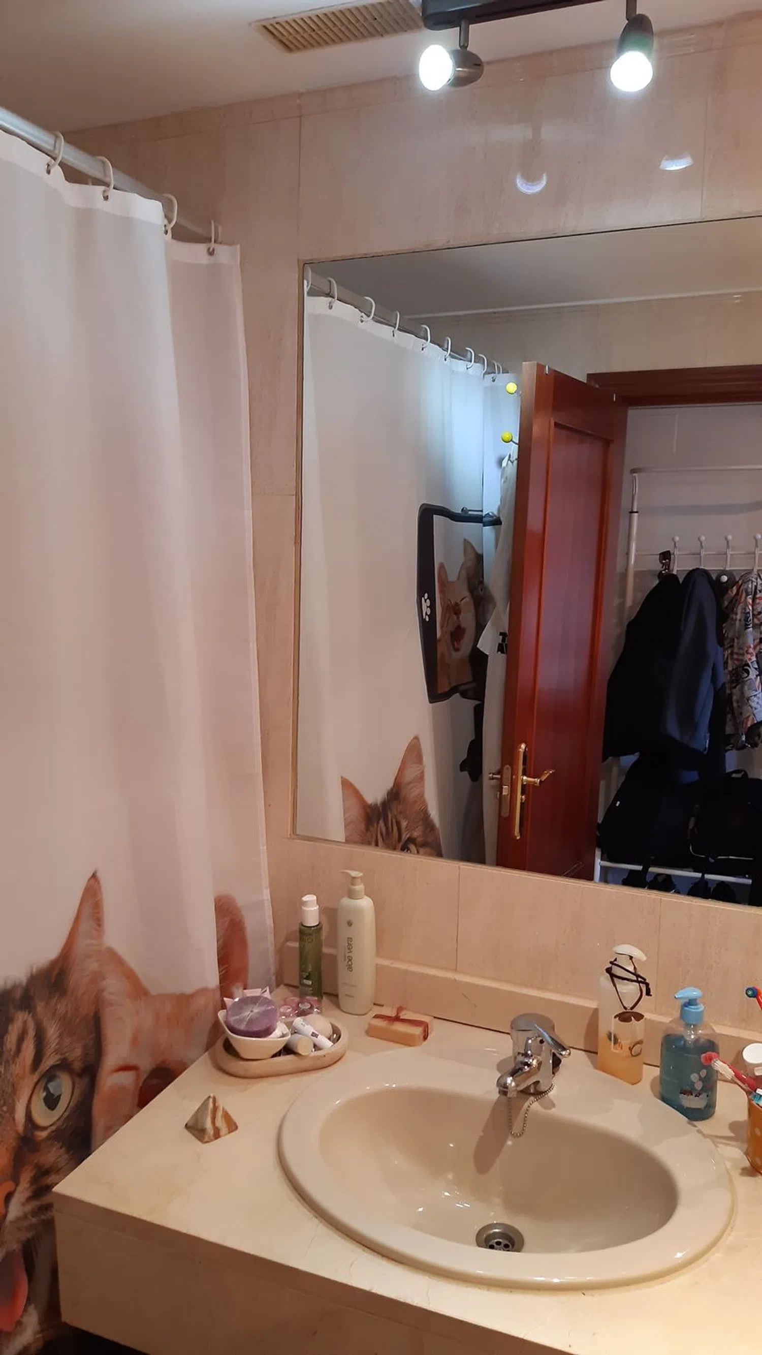 Piso en calle Albalá, 12 - Foto 13