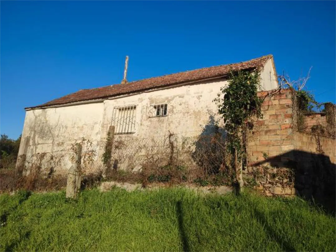 Chalet en bembrive - Foto 4