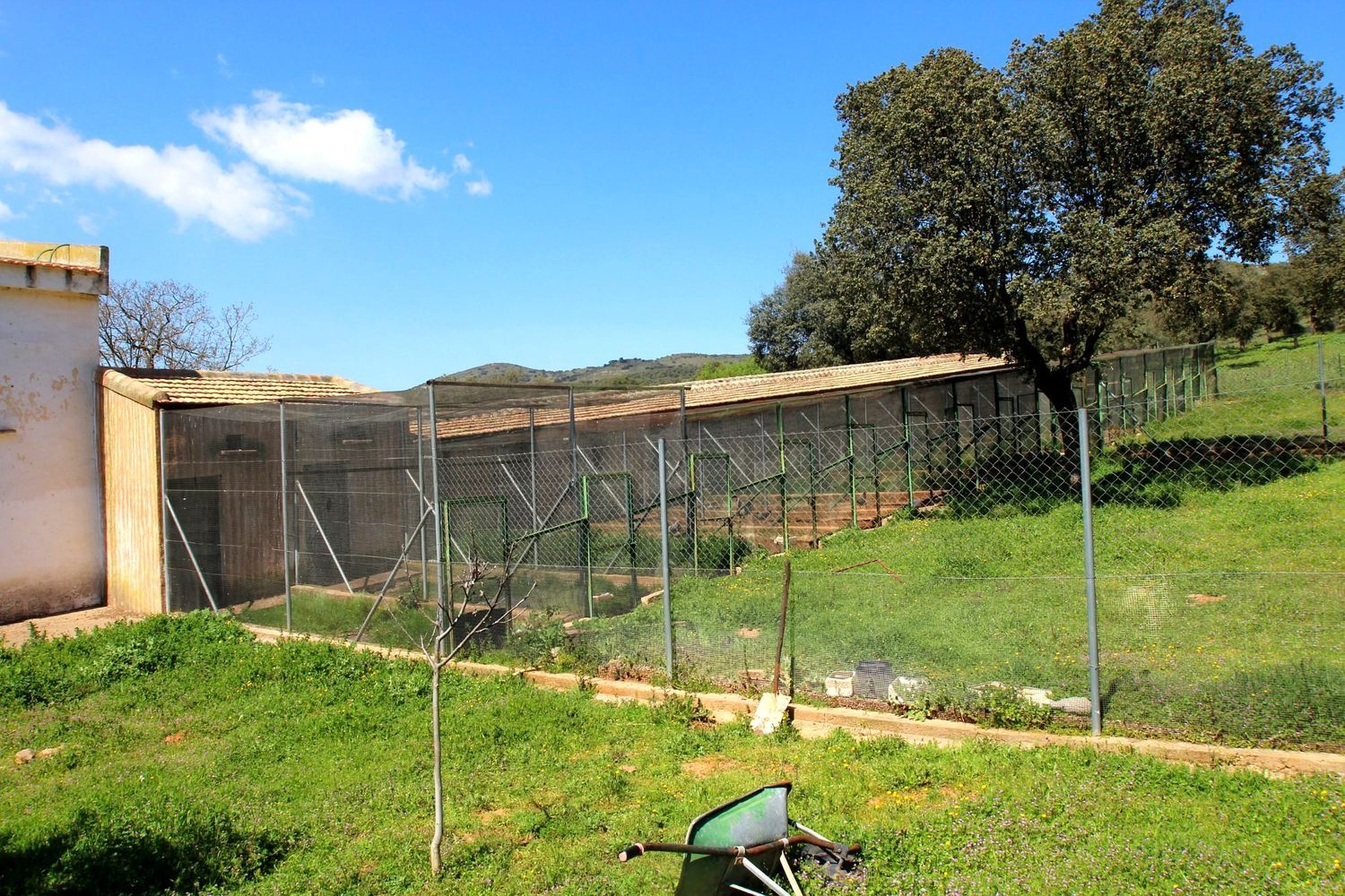Cortijo en Cr-7021, 5 km - Foto 29