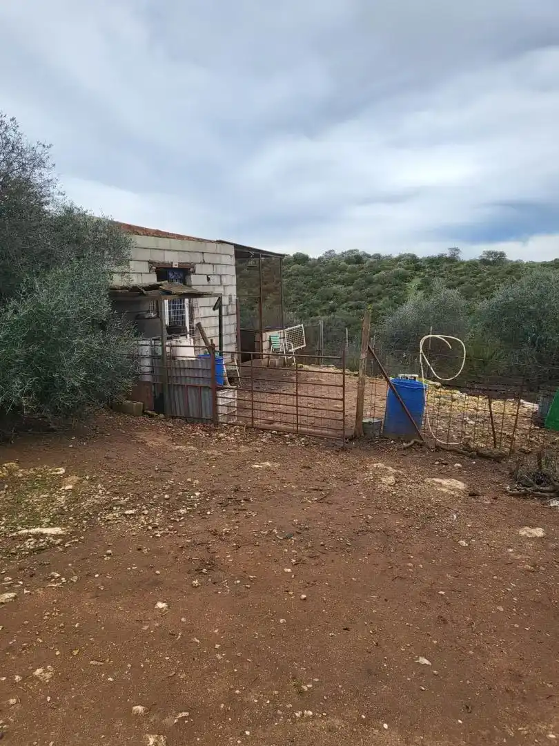 Finca rústica en  Calle Héctor Villa-Lobos 5 - Foto 4