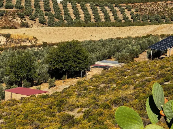 Finca rústica en Arroyo de la Calera 18152 s/n - Foto 13