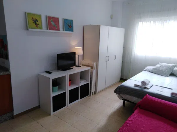 Estudio en Carrera de Capuchinos, 9, El Ejido - Foto 12