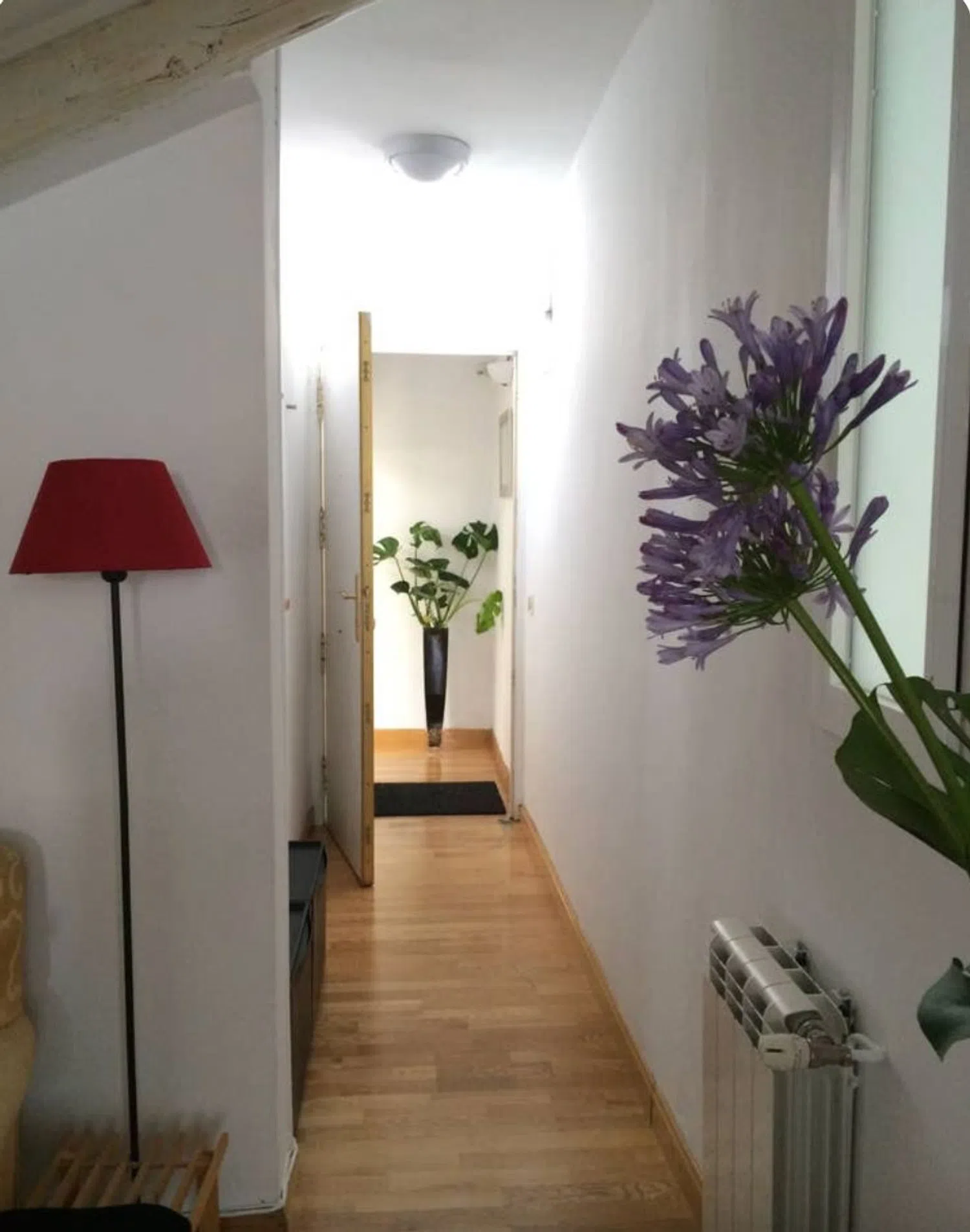 Piso en calle de la Magdalena, 11 - Foto 8