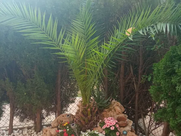 Piso en Calle Teodoro Llorente, 16, Campoamor - Foto 8