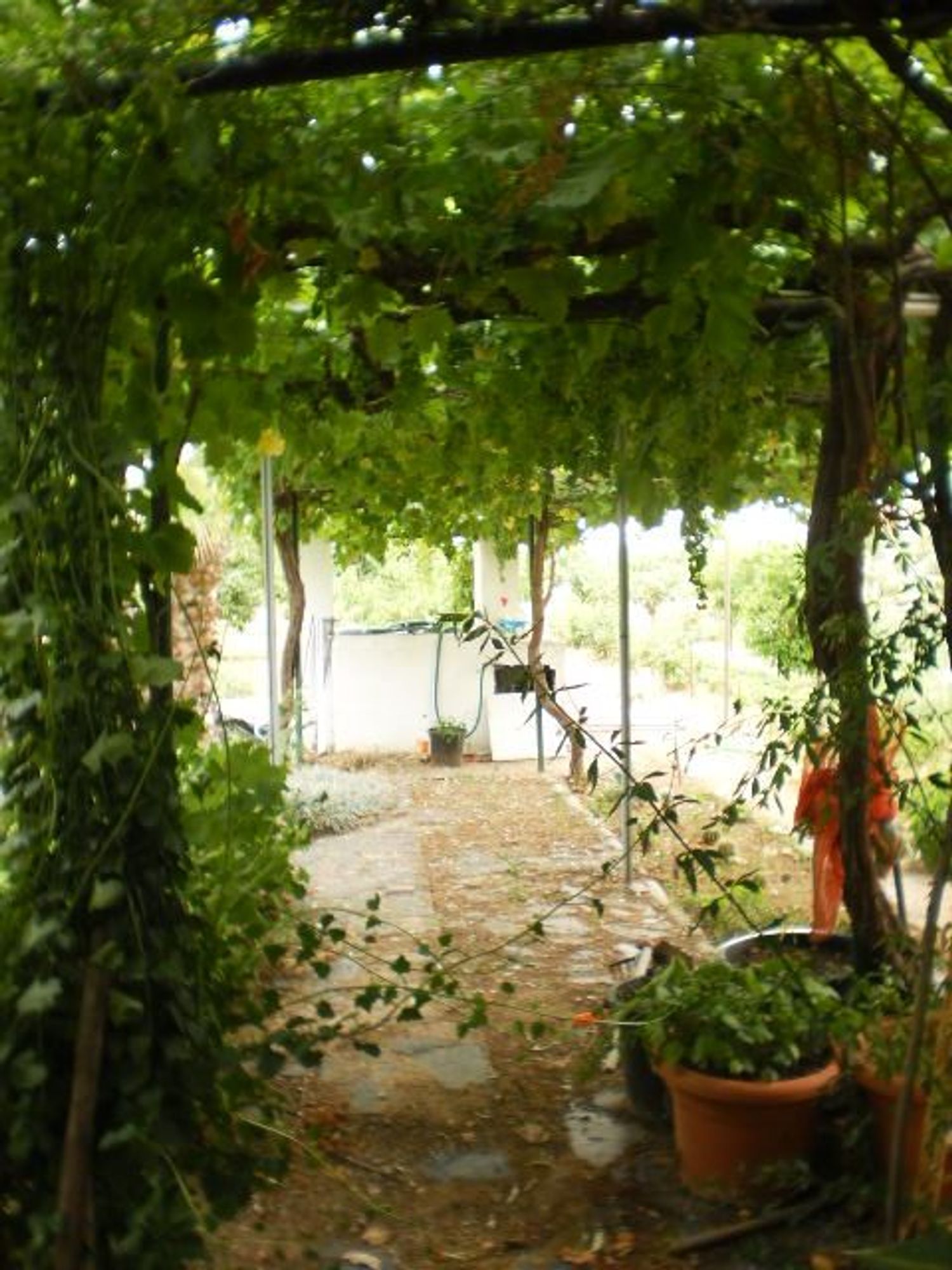 Cortijo en Ba-012 s/n - Foto 5