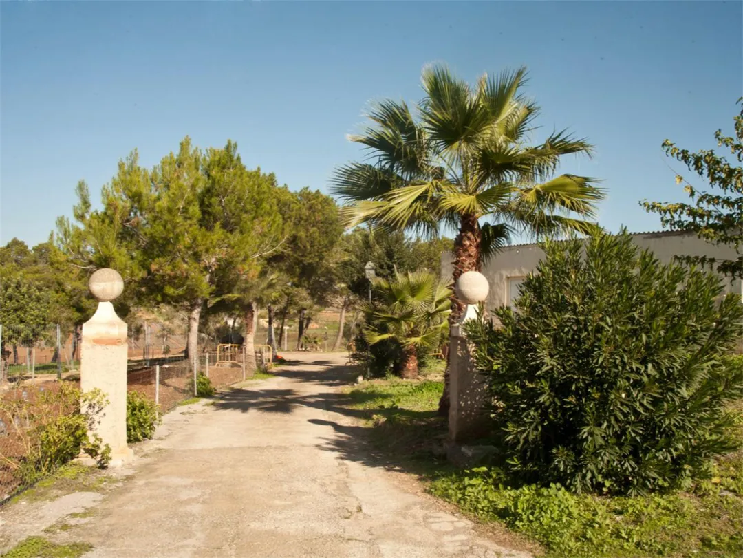 Finca rústica en  Diseminado 8725- Sa Casa Blanca 363 - Foto 8