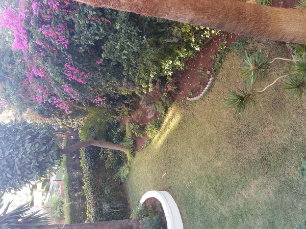 Piso en calle República Argentina, 29 - Foto 30