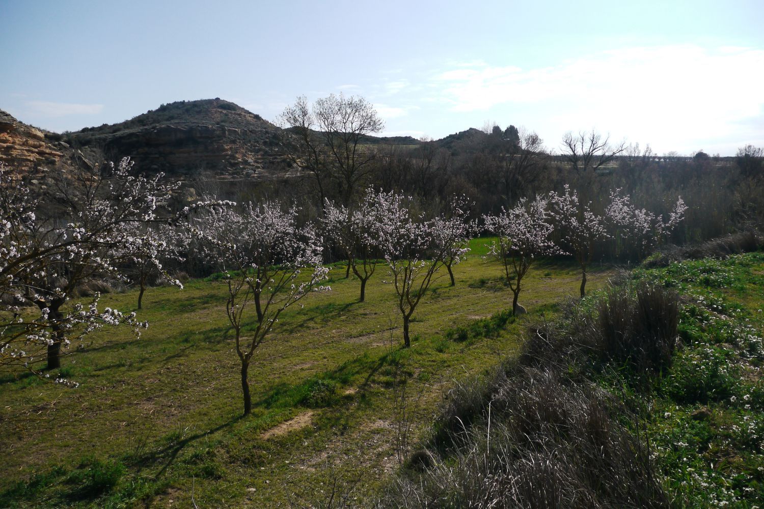 Finca rústica en Huerta Zaragoceta s/n - Foto 33