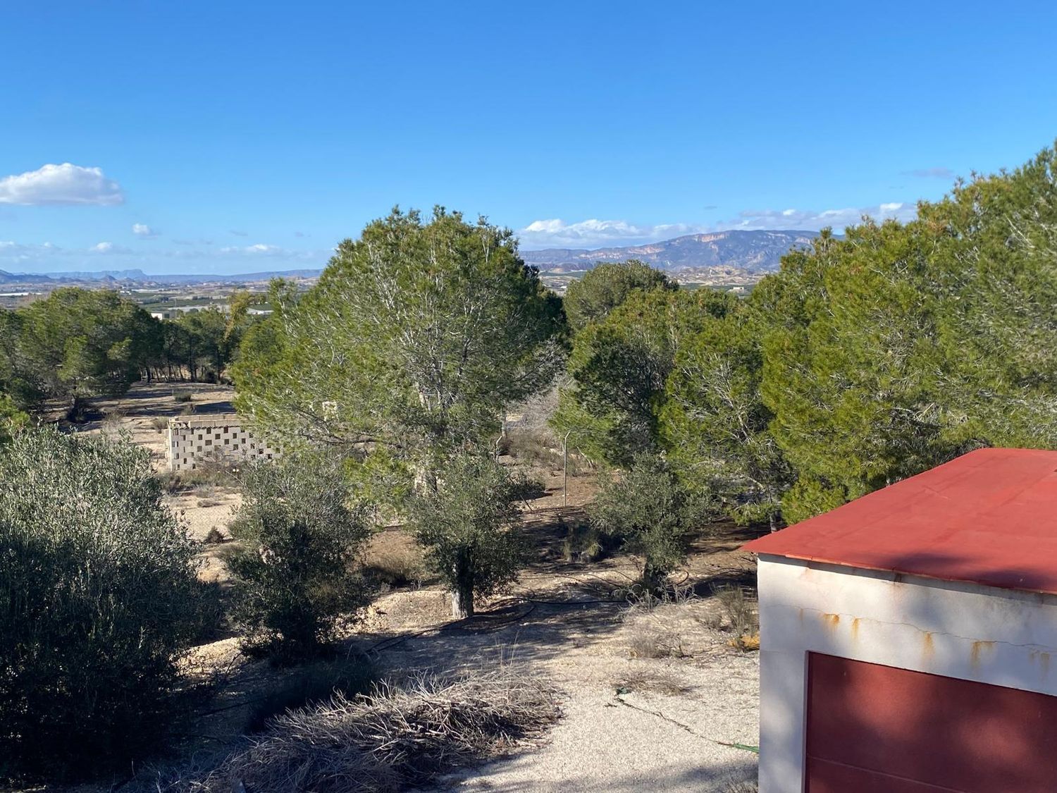 Casa independiente en camino de José Antonio Arnaldos s/n - Foto 29