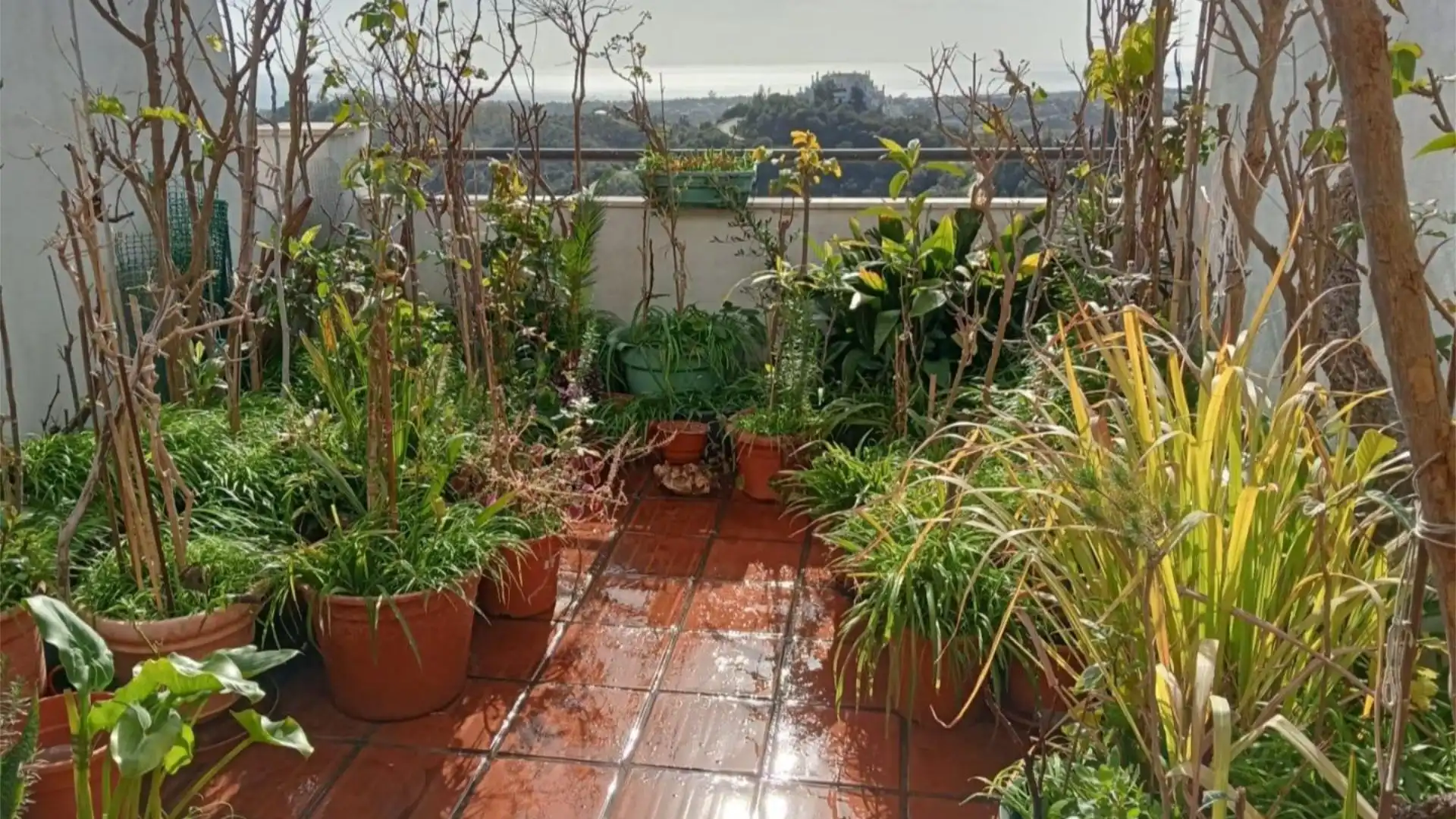 Piso en  Calle Sidney 2 - Foto 14