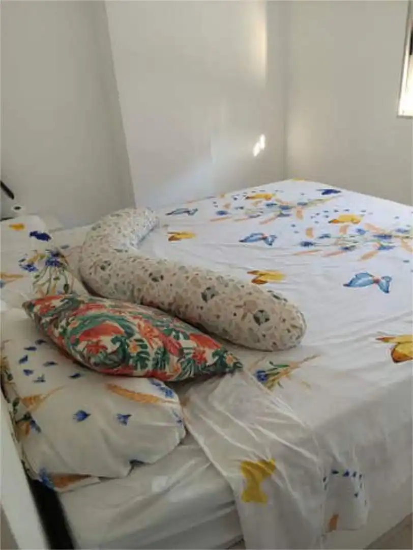 Apartamento en El puig de Santamaria - Foto 6