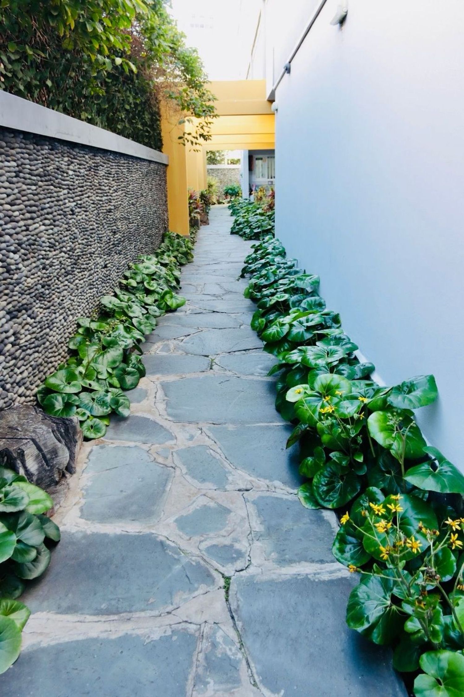 Piso en Calle Puccini, 6 - Foto 3