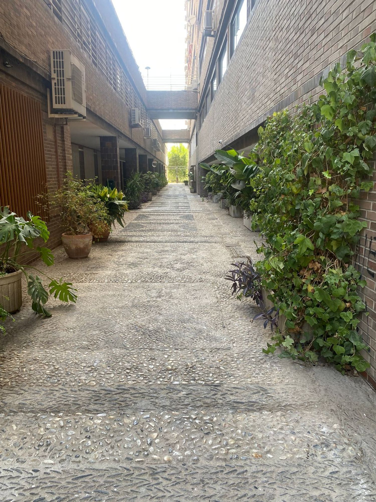 Piso en Avenida de la Constitución, 18, Plaza de Toros - Foto 4