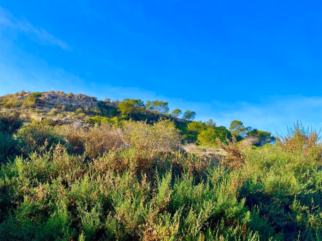 Finca rústica en  Camino Viejo de Saladas 10 - Foto 17