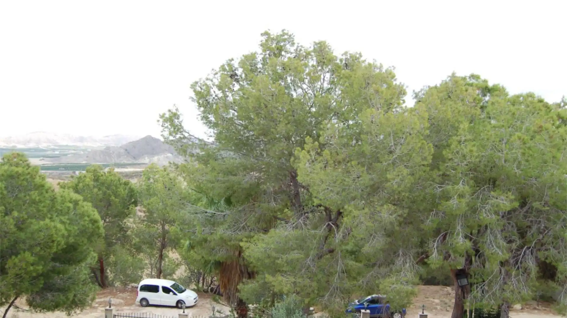 Chalet en  Urbanización la Pinada 37 - Foto 11