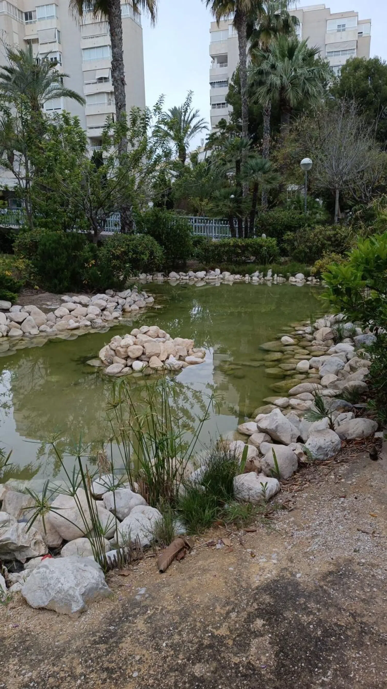 Piso en avenida de la Costa Blanca, 102  2ºb - Foto 21