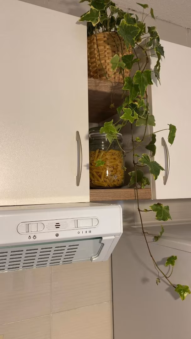 Piso en  Calle de Casto Plasencia 8 - Foto 18