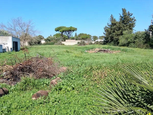 Casa independiente en calle Verbana, 40 Sn - Foto 7