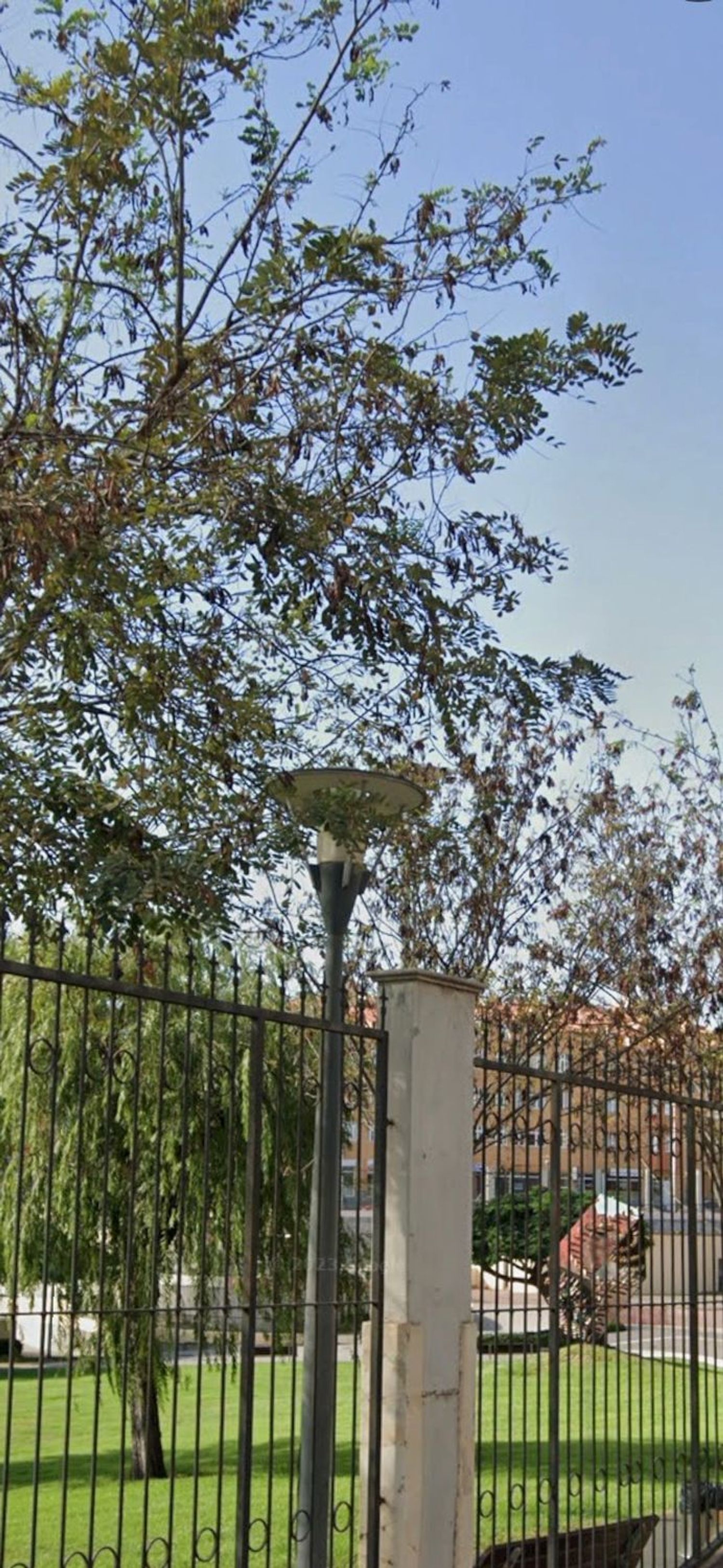 Piso en Avenida del Movimiento Ciudadano, 5, San Gregorio, San Gregorio - Foto 3
