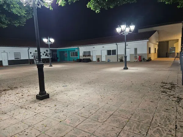 Casa o chalet independiente en Calle Lope de Rueda, 31, Los Almendros - El Limonero - El Tomillar - Foto 15