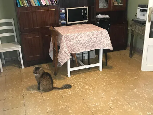 Ático en Calle de Peníscola, 17, La Trinitat Vella - Foto 9