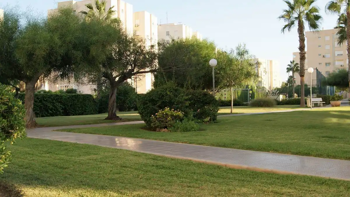 Apartamento en  Calle Calle Músico Agustín Bertomeu, - Foto 31