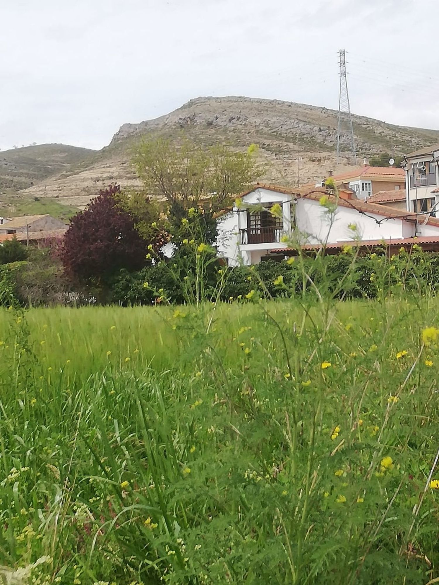 Casa o chalet independiente en Avenida de La Rioja, 6 - Foto 9